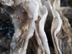 -宾朋海鲜特色美食餐厅·纯手工鲅鱼水饺(兴海路店)