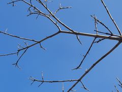 -沈阳辉山风景区