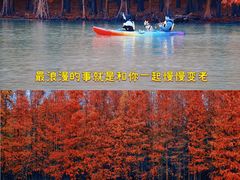 -上海海湾国家森林公园