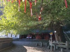 -大慈岩风景区