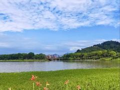 -风云岭森林公园