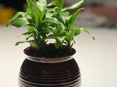 -炳胜品味(珠江新城店)