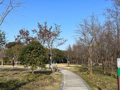 -自然谷恐龙园