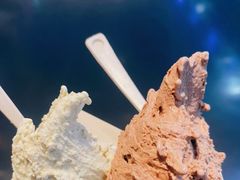 -野人牧坊Gelato(天津南开大悦城店)