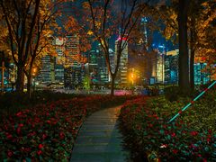 -北外滩滨江绿地