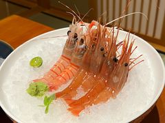 -月龍吟(朝龙汇店)
