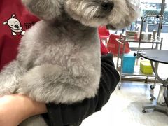 -宠物家(双井店)