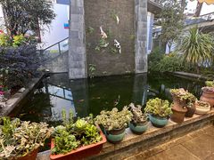 -瑞丰园庭院餐厅·白族传统家常菜