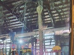 -南宫温泉水世界