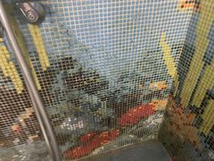 -龙格亲子游泳•水育早教运动中心