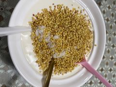 奶嚼口-蜗牛小馆醉乡民谣云南菜(惠新西里店)