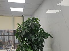 -机械革命机械师笔记本电脑售后维修(嘉和国际大厦-西楼店)