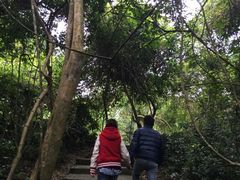 iphone_upload_pic-广西龙虎山风景区