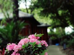 -大妙火锅·非物质文化遗产(东湖公园店)