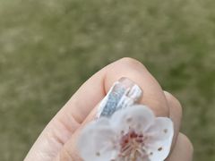 -徐家汇公园