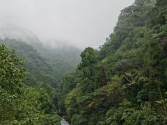 -青城山