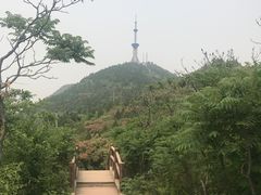 -府君山公园