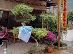 -生态苑农庄(十里画廊遇龙河店)