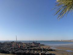 -日照海滨国家森林公园