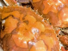 -北塘海鲜·天津菜·鲅鱼水饺是一绝(大光明桥旗舰店)