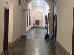 -香港大学