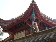 -黔灵山公园