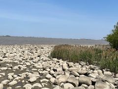 -上海吴淞炮台湾国家湿地公园