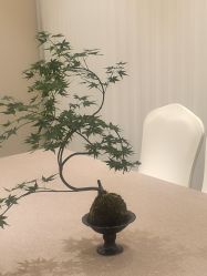 -深圳鹏爱秀琪医疗美容医院