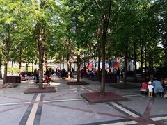 -神仙树公园