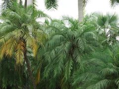 -人民公园(罗湖区)