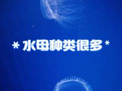 -大明湖海底世界