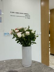 -智美品质医美