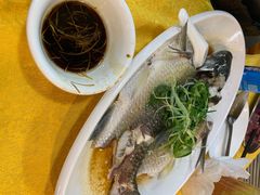 清蒸山坑皖鱼-洞密园美食城(富华路店)