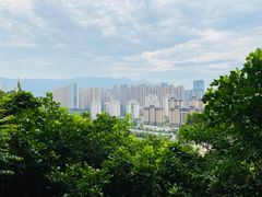 -金鸡山公园