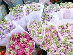 -双季花艺园艺市场(浦东店)