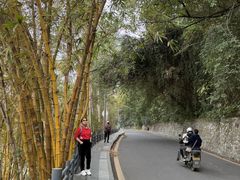-中山纪念堂