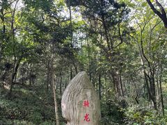 -上海佘山国家森林公园天马山园