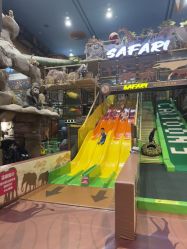 -卡通尼·Safari非洲探索乐园·生日会(金桥国际商业广场店)