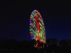 -凤岭儿童公园