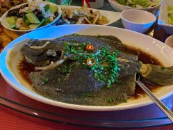 -青岛金沙滩希尔顿酒店·宴会厅