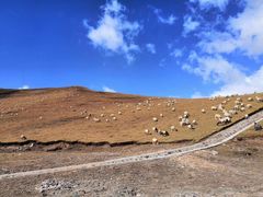 -青海湖国家重点风景名胜区
