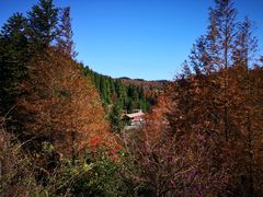 -山王坪喀斯特国家生态公园