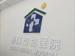 -泰洋动物医院·神经专科·磁共振·CT(天河公园总院)