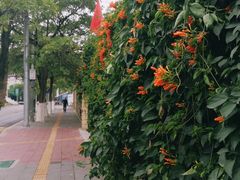 -铁路文化公园