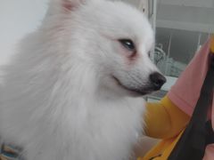 -怪兽屋·羊驼·猫咖·狗咖(俊华广场店)
