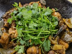 乌龟焖鸡-庆丰农庄·团建·农家菜(大浪店)