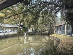 -爱帝宫月子中心(罗湖别墅院)