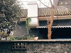 -四川大学(华西校区)