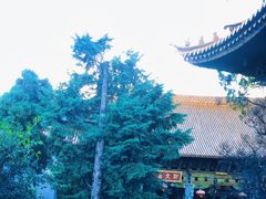 -大理文庙(大理古城)