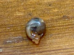 -尤素福东举院饺子馆